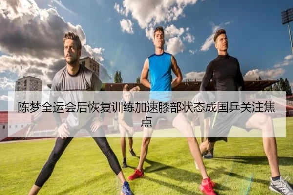 陈梦全运会后恢复训练加速膝部状态成国乒关注焦点 - MILAN.COMapp